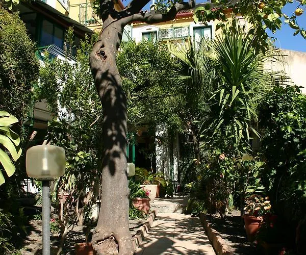 Πανσιόν Gaia 3*