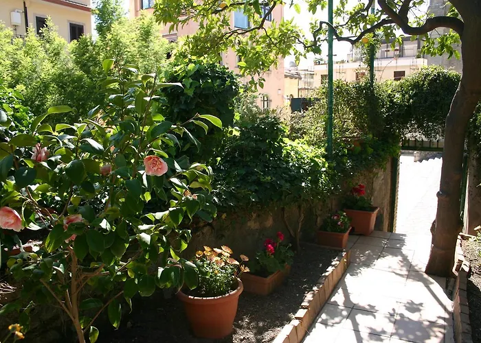 Πανσιόν Gaia 3*